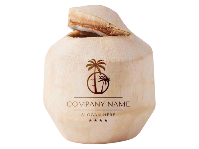 CO2 Laser Marking Machine DIY Custom Logo on Fresh Coconut CO2 Laser Marking Machine DIY Custom Logo on Fresh Coconut