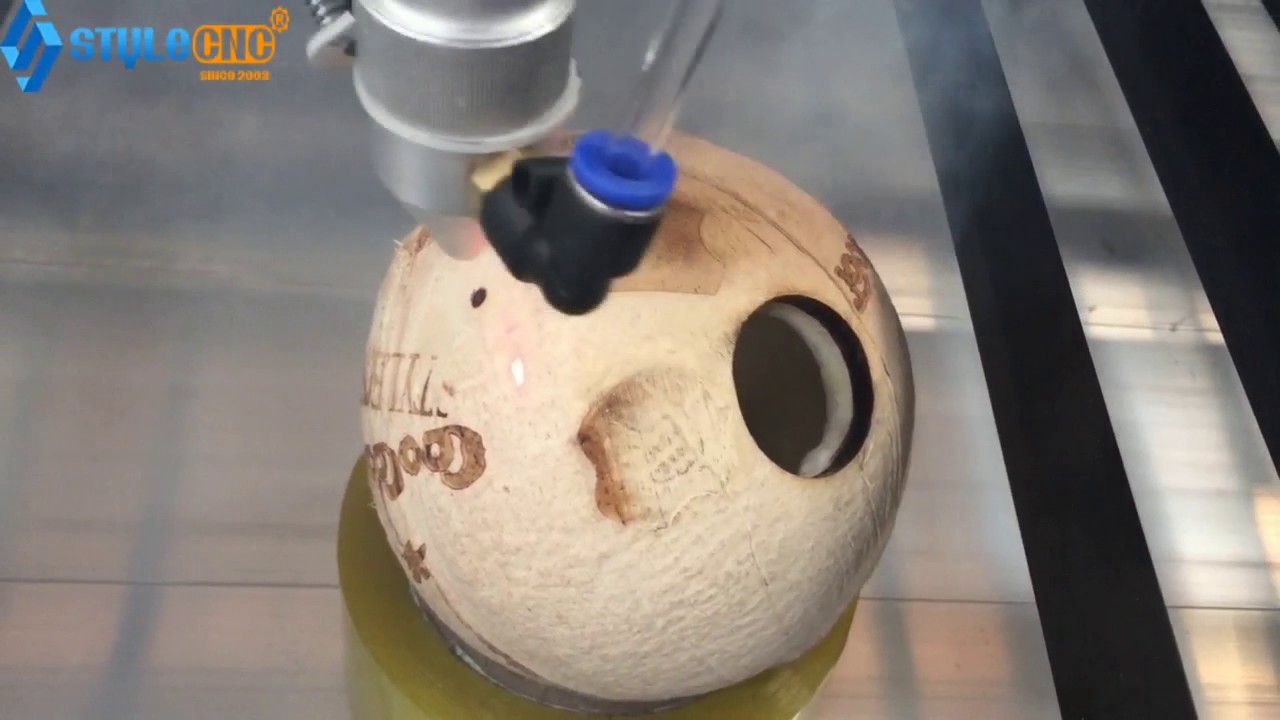CO2 Laser Cutter for Coconut Shell Engraving and Cutting CO2 Laser Cutter for Coconut Shell Engraving and Cutting