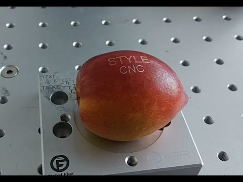 CO2 Laser Fruit Marking Machine DIY Custom Logos & Signs CO2 Laser Fruit Marking Machine DIY Custom Logos & Signs