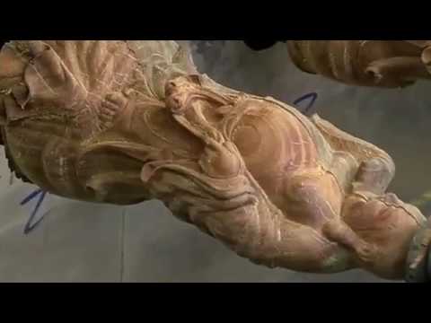 How to Use Rotary CNC Router for Wood Crafts How to Use Rotary CNC Router for Wood Crafts